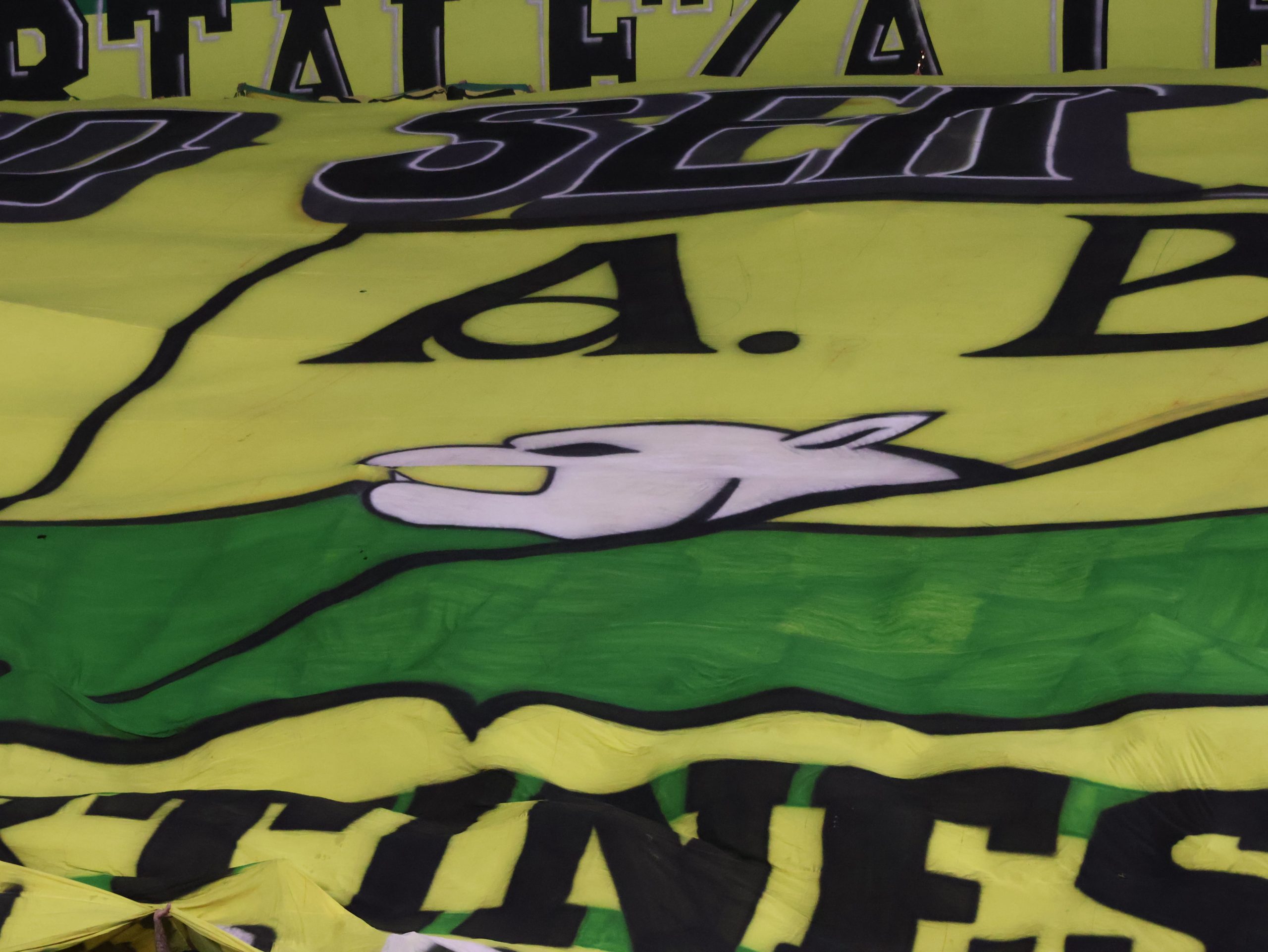 Hinchas AB vs CD (278)