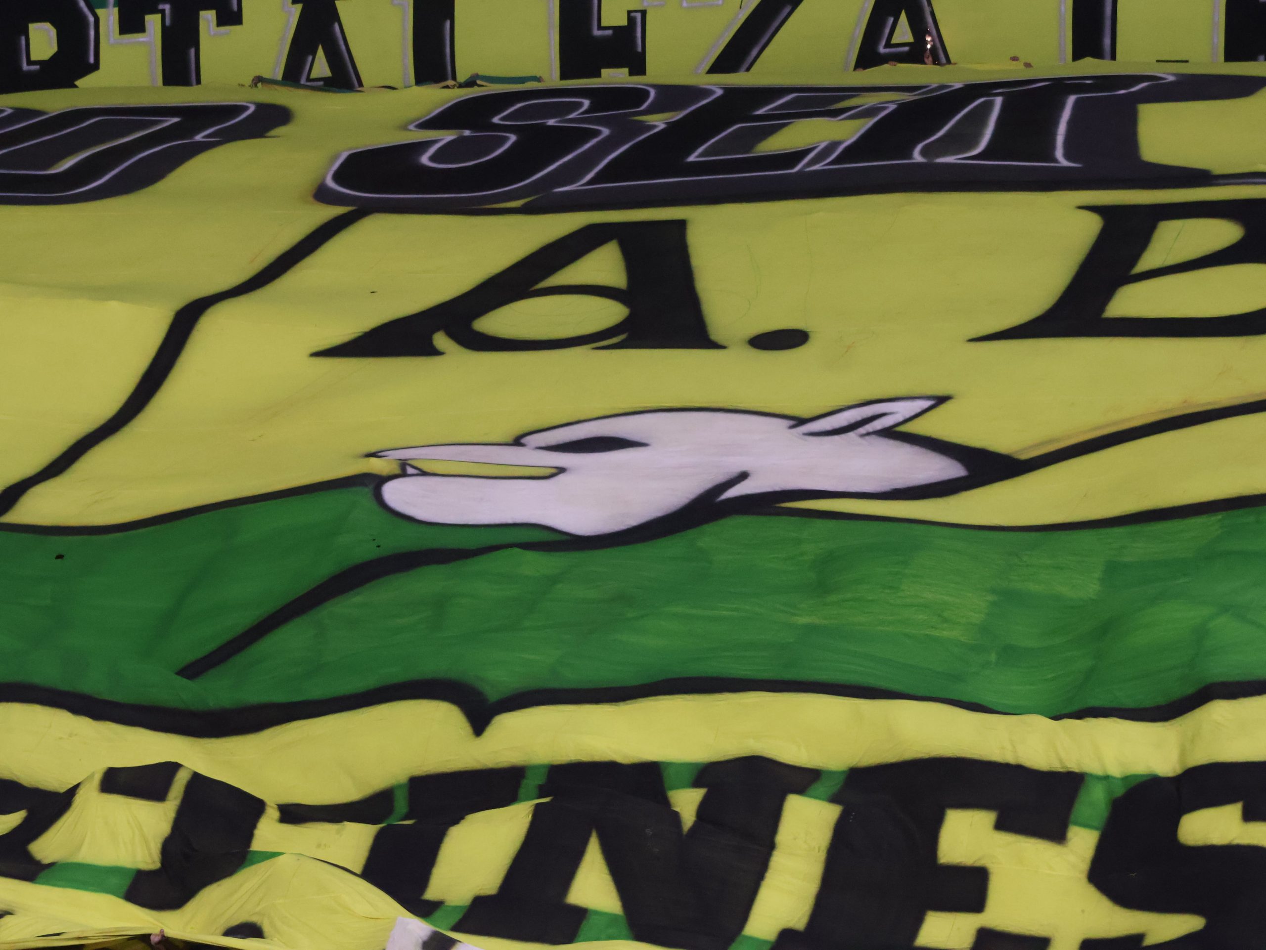 Hinchas AB vs CD (280)